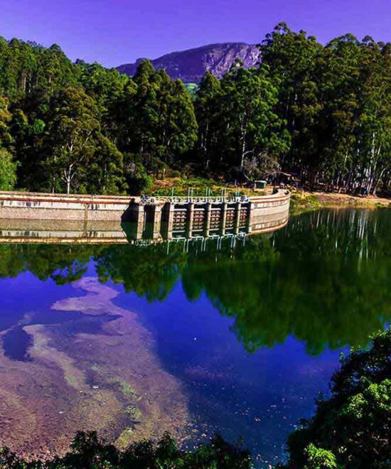 Experience Munnar's Beauty in One Day