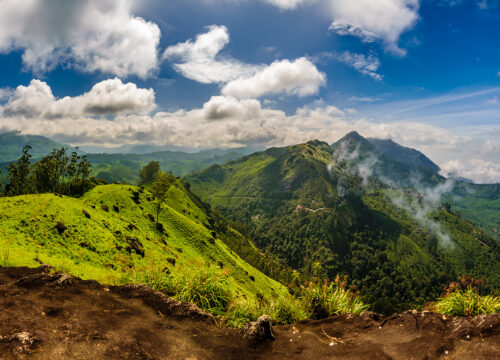 Discover the Magic of Lakshmi Hills Trek in Munnar