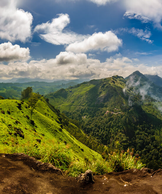 Discover the Magic of Lakshmi Hills Trek in Munnar