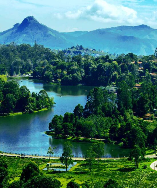 5Night - 6 Days | Cochin-Munnar - Thekkady - Kodaikanal - Madurai