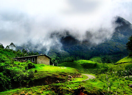 Ultimate Munnar Escape: 2 Nights, 3 Days Tour Package