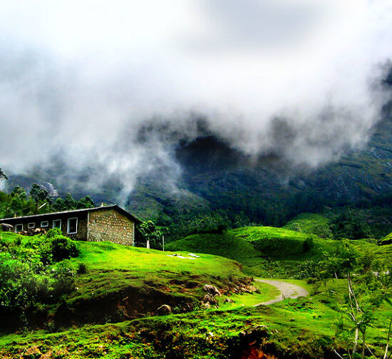 Ultimate Munnar Escape: 2 Nights, 3 Days Tour Package