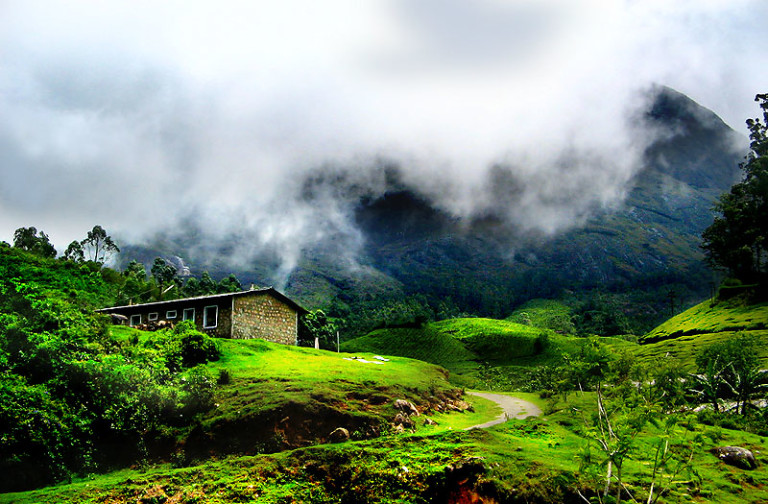 Ultimate Munnar Escape: 2 Nights, 3 Days Tour Package