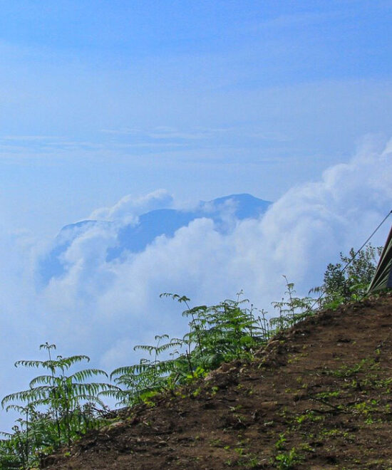 Witness the enchanting sunrise at Topstation in Munnar for a magical start to your day