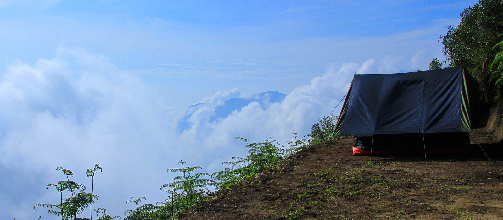 Witness the enchanting sunrise at Topstation in Munnar for a magical start to your day