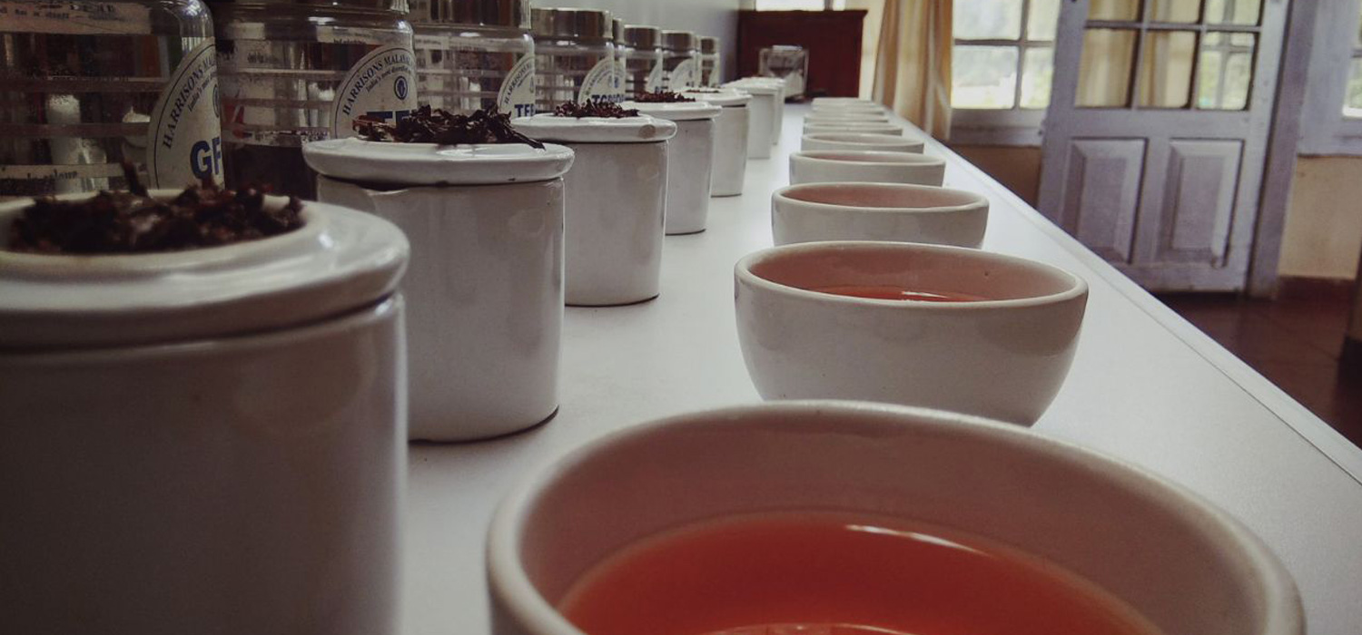 Embark on a journey to create and discover the fascinating story behind your cup of tea